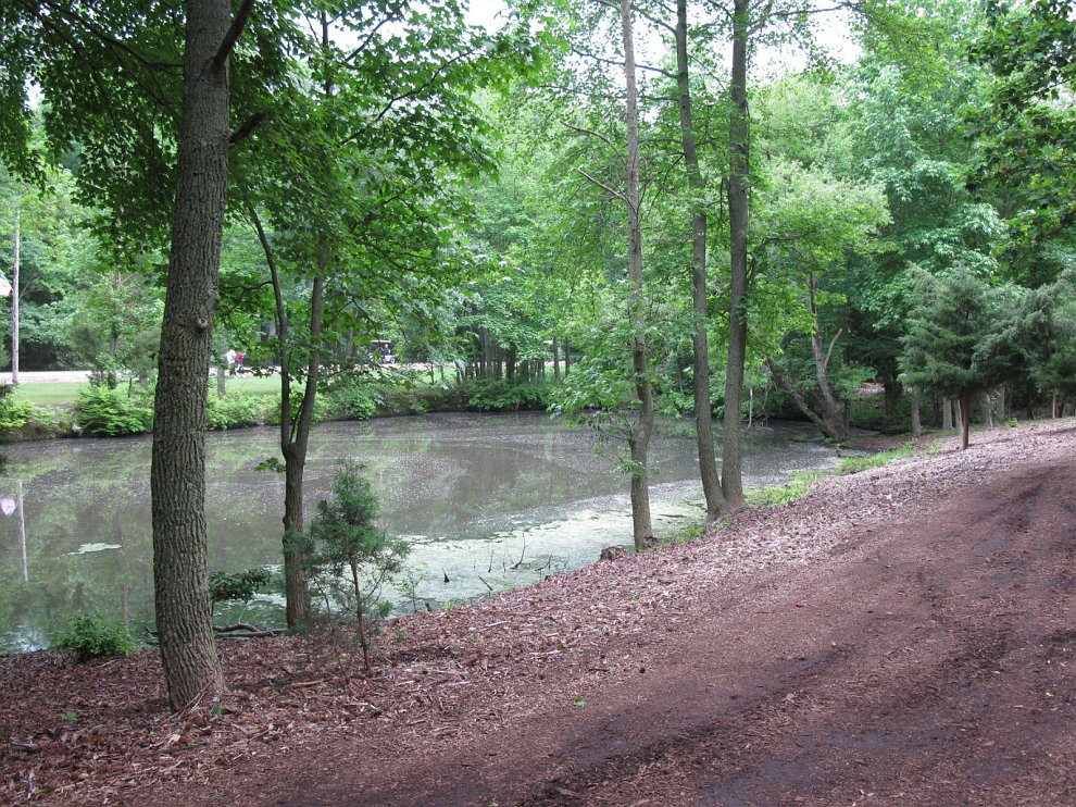 USOpenMainGreen 024.jpg